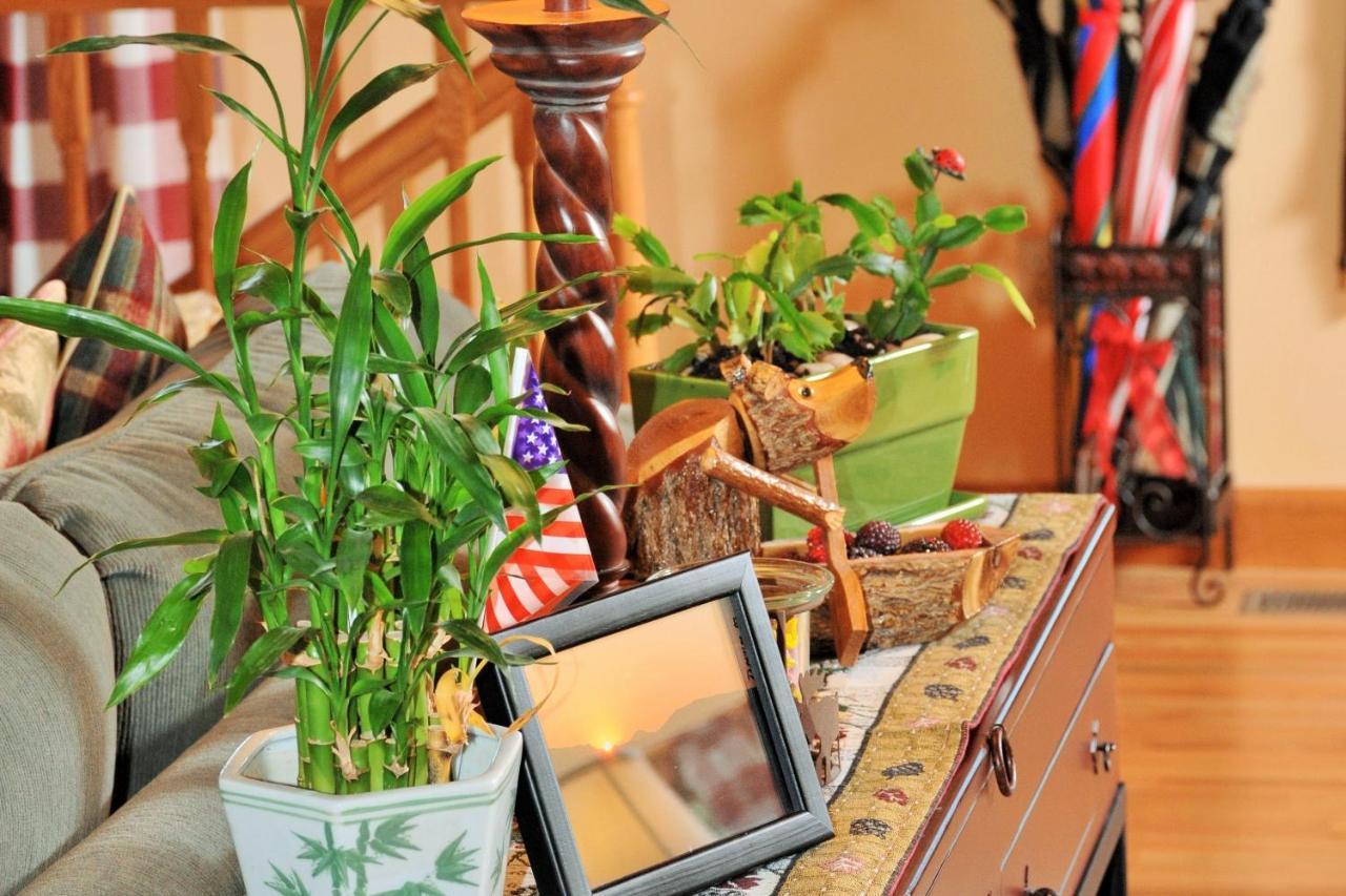 Berry Springs Lodge Сивиървил Екстериор снимка